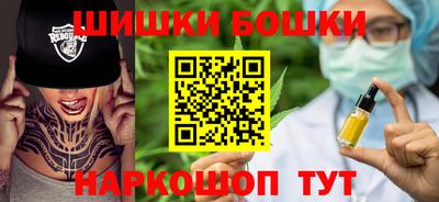 индика Заводоуковск
