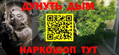 прущие грибы Жуковский
