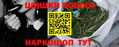 индика Заводоуковск