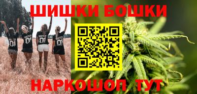 индика Заводоуковск