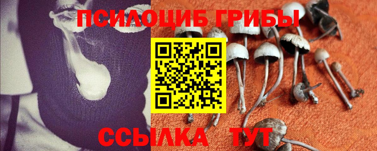 Галлюциногенные грибы мухоморы  Псилоцибиновые грибы Magic Shrooms  Майкоп  Вход с VPN 